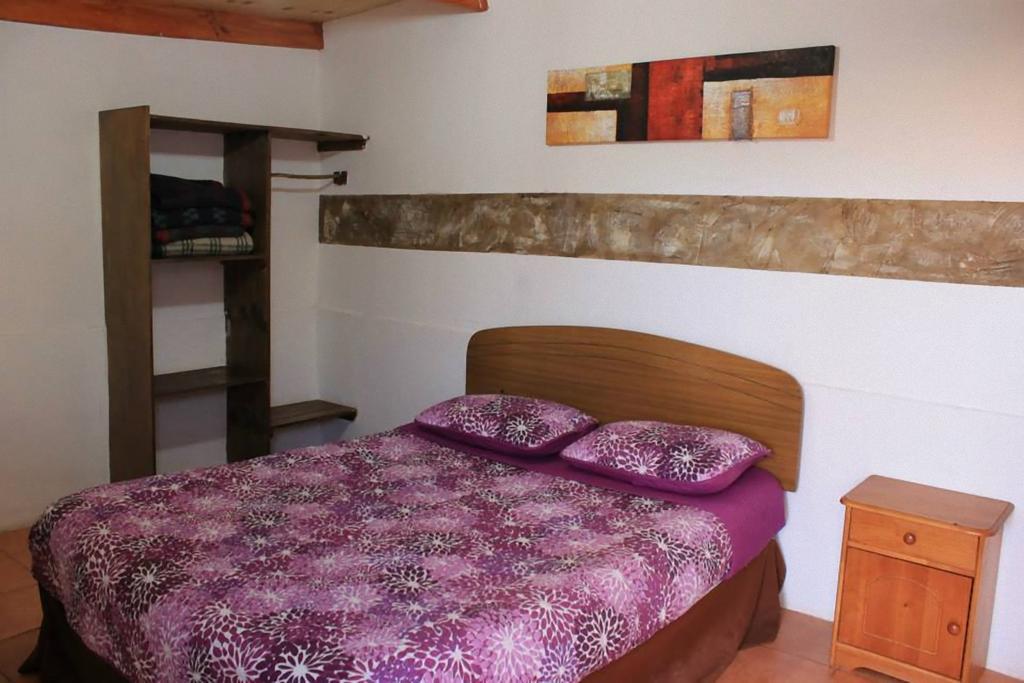 סן פדרו דה אטקאמה Hostel El Toconar חדר תמונה